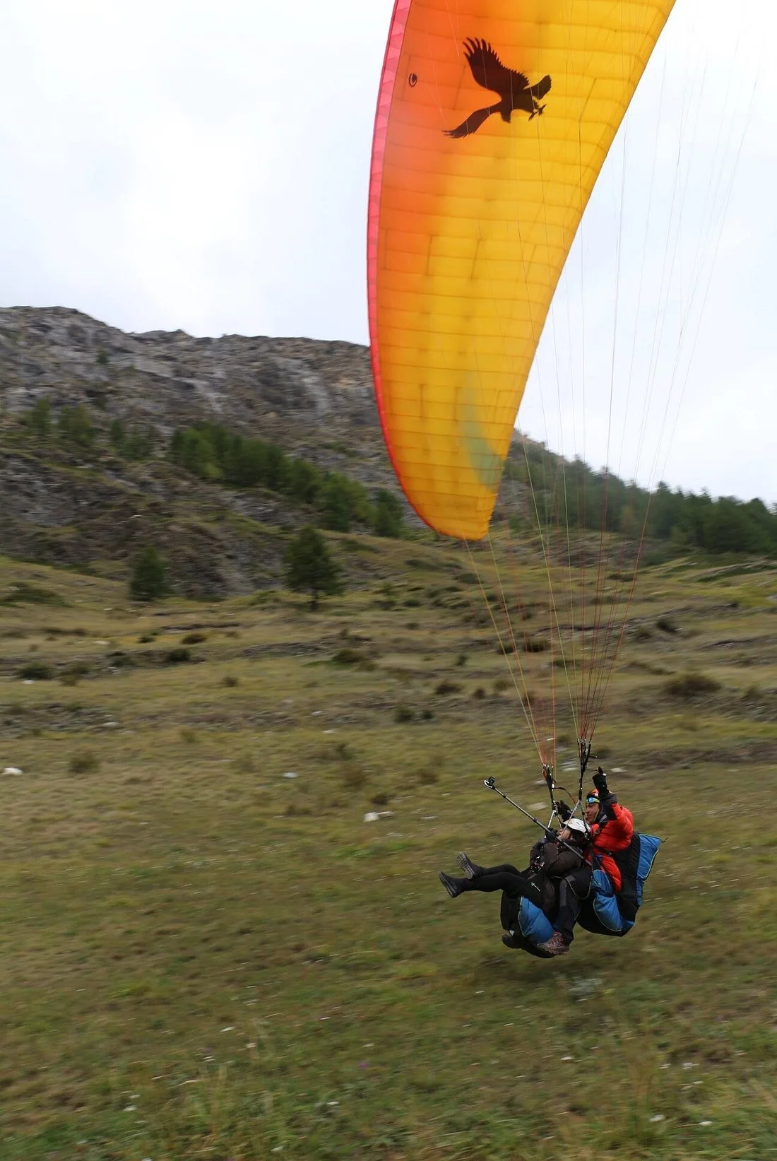 FLYBYPARA - Tripadvisor Reviews - Youwen L 09